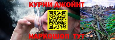дурь Пугачёв