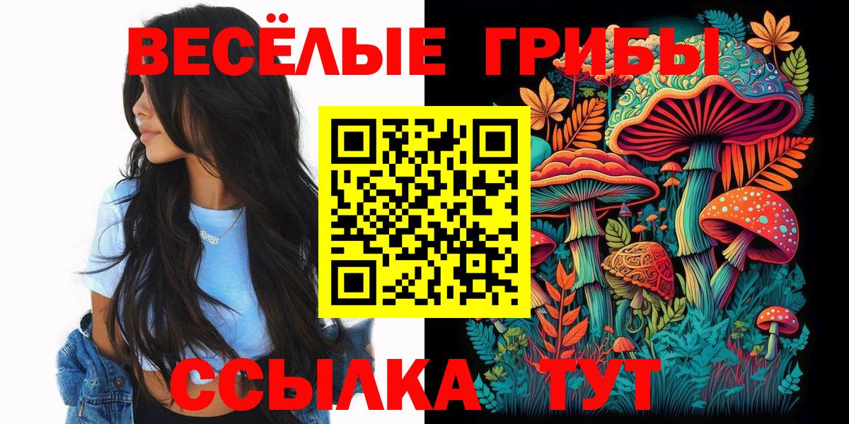 цены наркотик  Псилоцибиновые грибы ЛСД  Вход с VPN  Сальск 