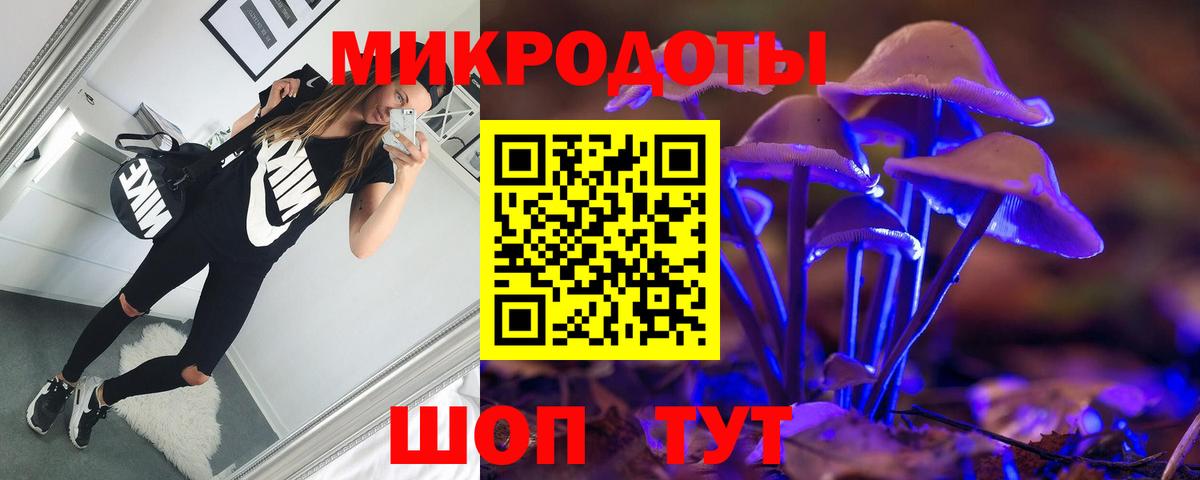 Галлюциногенные грибы прущие грибы Сальск
